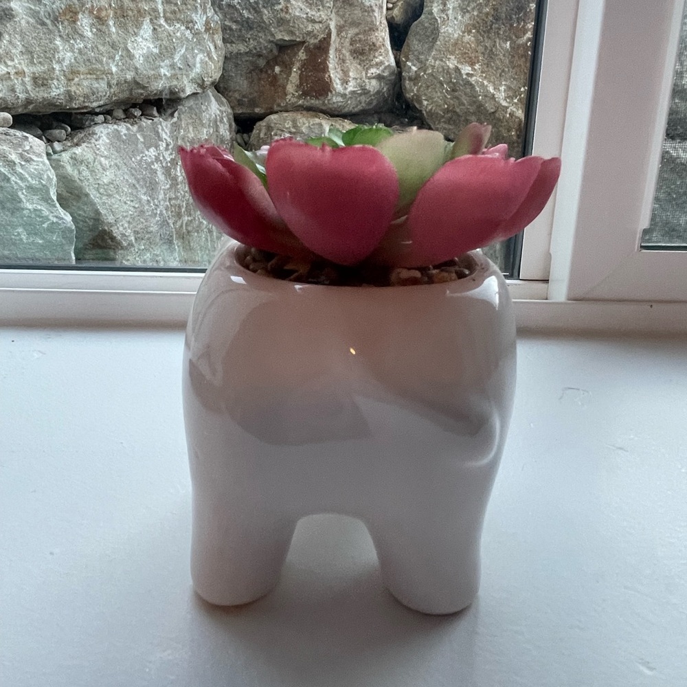 Artificial faux succulent plant - Picture 5 of 6